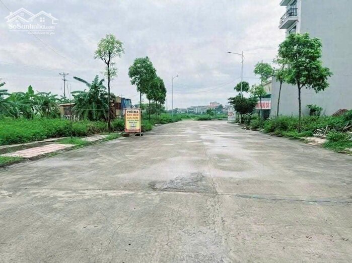 Hình ảnh Bán đất đấu giá Lai Sơn, Đồng Tâm, Vĩnh Yên, Vĩnh Phúc. 2