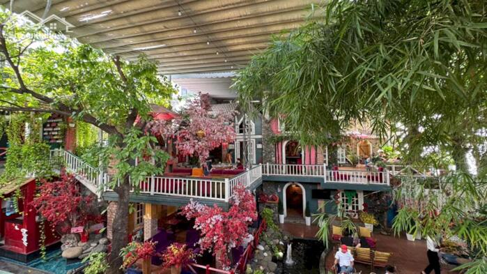 Hình ảnh Bán quán CAFE “Phố Xưa” ngang 24m 3 lầu sân vườn 624m2 MTKD Nguyễn Ảnh Thủ chỉ 49 tỷ 1