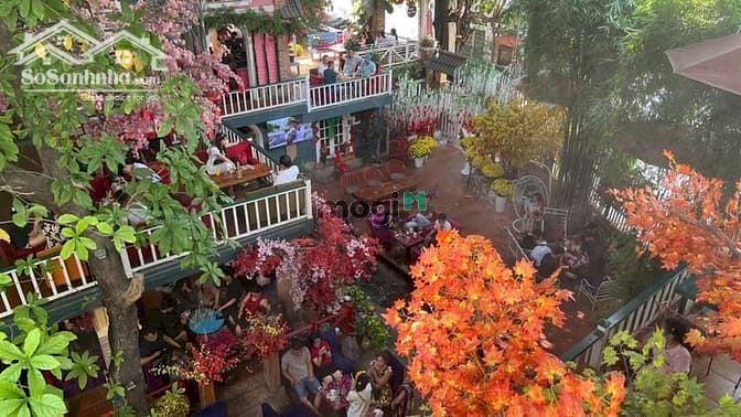 Hình ảnh Bán quán CAFE “Phố Xưa” ngang 24m 3 lầu sân vườn 624m2 MTKD Nguyễn Ảnh Thủ chỉ 49 tỷ 3