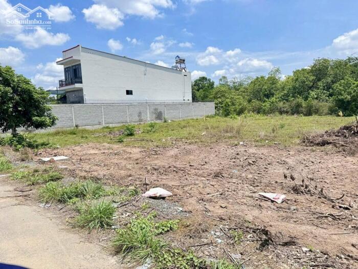 Hình ảnh CẦN TIỀN BÁN NHANH 25X45= 1125M2 ĐẤT Ở NGAY CHỢ, TRƯỜNG HỌC DÂN CƯ ĐÔNG. GIÁ 190 TRIỆU 0