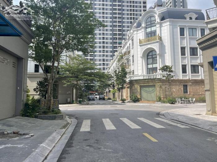 Hình ảnh Chính chủ gửi bán gấp 247m2 đất đấu giá 31HA Trâu Quỳ, vierw khu shophouse Hải Phát, xây biệt thự, nhà vườn đẹp 1