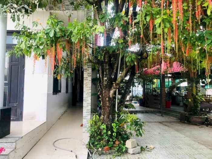 Hình ảnh Bán Nhà 18x31(492m2) 200m2 TC 2 Mặt Tiền Giá Rẻ Gần Biển 1