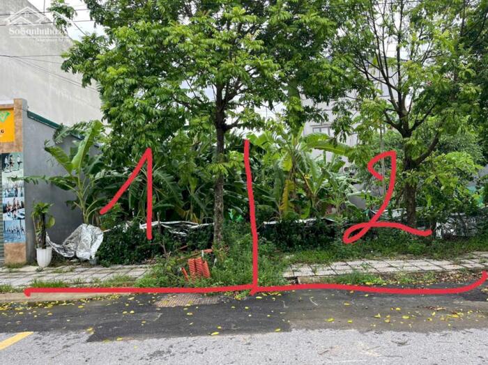 Hình ảnh Bán đất mặt đường Trần Doãn Hựu, Cụm Kinh Tế Đồng Tâm, Vĩnh yên. 3