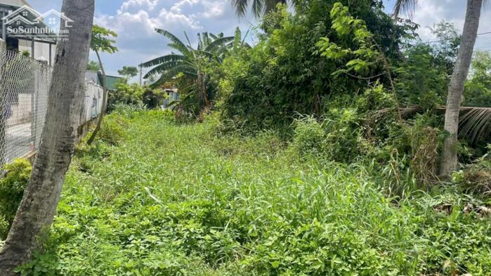 Hình ảnh 350tr bán (7x28) 207m2 đất có thổ cư tại TP Gò Công, TG (nay P.Sơn Qui, Đồng Tháp) 4