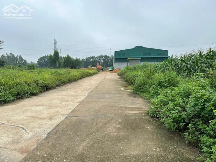 Hình ảnh Bán đất khu đấu giá Mầm Non Kim Long B, Kim Long, Tam Dương, Vĩnh Phúc 1