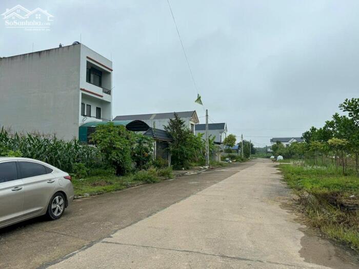 Hình ảnh Bán đất khu đấu giá Mầm Non Kim Long B, Kim Long, Tam Dương, Vĩnh Phúc 0