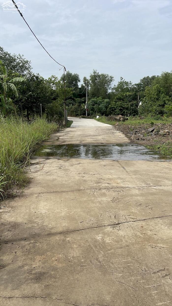 Hình ảnh Bán 1156m2 Có sẳn 100m2 Thổ Cư Tại Sông Trầu, Trảng Bom,Đường Bê Tông 2