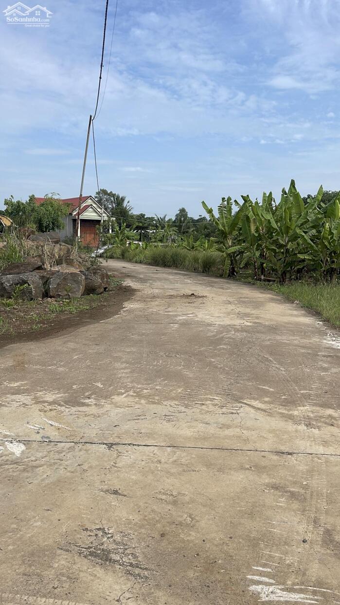 Hình ảnh Bán 1156m2 Có sẳn 100m2 Thổ Cư Tại Sông Trầu, Trảng Bom,Đường Bê Tông 3
