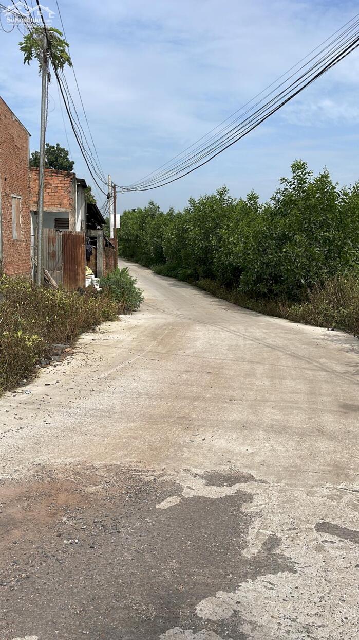 Hình ảnh Bán 1156m2 Có sẳn 100m2 Thổ Cư Tại Sông Trầu, Trảng Bom,Đường Bê Tông 5