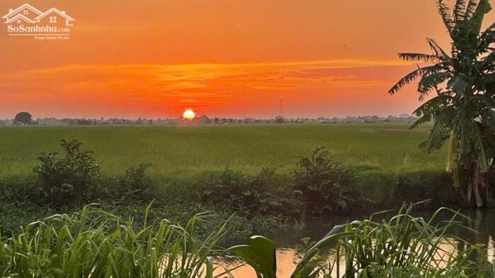 Hình ảnh 350tr/1000m2 bán 1 mẫu đất mặt tiền đường đá Kênh 3 gần biển Rạch Bùn Tân Điền, GCĐ, TG 0