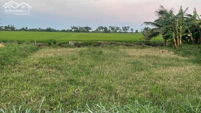 Hình ảnh bán 1 mẫu đất mặt tiền đá kênh 3 giá 3,5 tỷ gần biển Rạch Bùn, Tân Điền, GCĐ, Tiền Giang 2