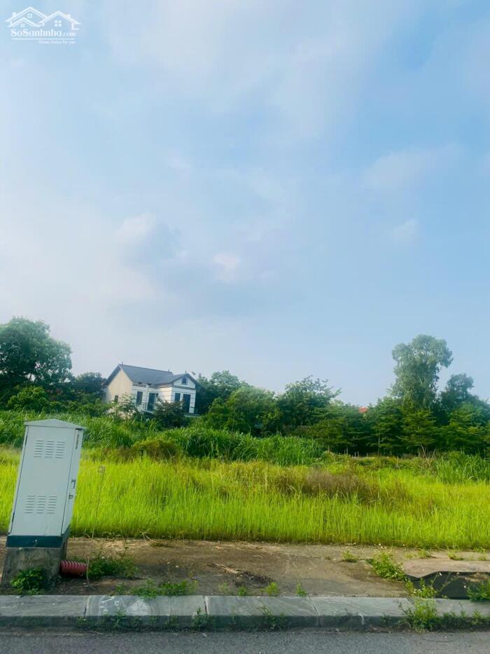 Hình ảnh Bán đất khu đô thị Vân Hội City, Đồng Tâm, Vĩnh Yên, Vĩnh Phúc 0