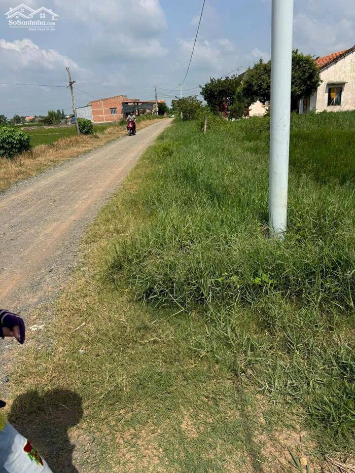 Hình ảnh Đất lúa 600m2 xã Long Hựu phù hợp khách tài chính thấp 190tr trọn sổ 0