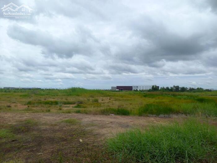 Hình ảnh Bán đất xây dựng xưởng 5,000m2 KCN Tân Đức, Huyện Đức Hòa, Long An 1