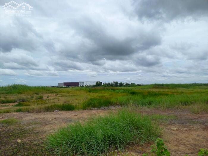 Hình ảnh Bán đất xây dựng xưởng 5,000m2 KCN Tân Đức, Huyện Đức Hòa, Long An 0