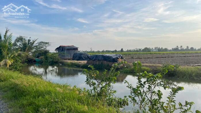 Hình ảnh Bán 2.000m2 đất cây, ôtô giá 300tr/1000m2 tại Tân Điền, Gò Công (nay xã Tân Điền, Đồng Tháp) 2