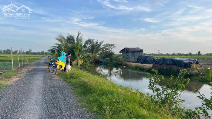 Hình ảnh Bán 2.000m2 đất cây, ôtô giá 300tr/1000m2 tại Tân Điền, Gò Công (nay xã Tân Điền, Đồng Tháp) 3