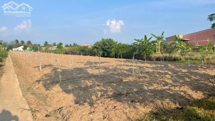 Hình ảnh 3.000m2 đất cây, ôtô giá 1,1 tỷ hết đất tại Tân Điền, Gò Công Đông (nay xã Tân Điền, Đồng Tháp) 2