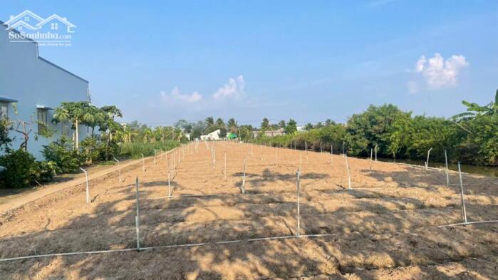 Hình ảnh 3.000m2 đất cây, ôtô giá 1,1 tỷ hết đất tại Tân Điền, Gò Công Đông (nay xã Tân Điền, Đồng Tháp) 3