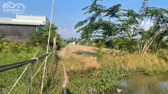 Hình ảnh 3.000m2 đất cây, ôtô giá 1,1 tỷ hết đất tại Tân Điền, Gò Công Đông (nay xã Tân Điền, Đồng Tháp) 1