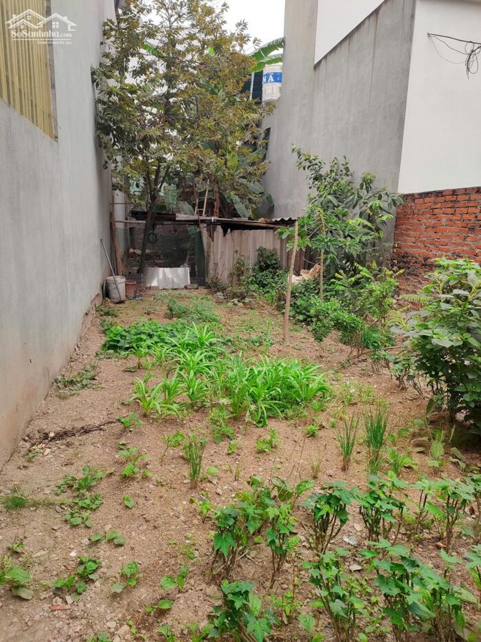 Hình ảnh Bán đất tại TDP Vĩnh Ninh, Phường Tích Sơn, Vĩnh Yên, Vĩnh Phúc 1