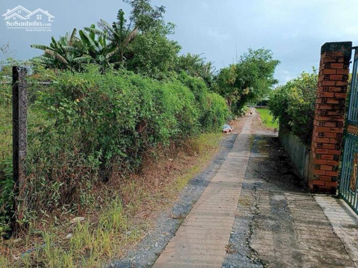 Hình ảnh Đất thổ 321m2 xã Tân Lân giá rẻ đầu tư 1 tỏi 1 hết sổ 0