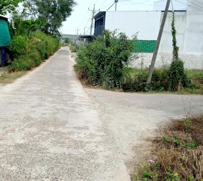 Hình ảnh Đất thổ cư Giá Rẻ-Phường Hàm Thắng(TT Phú Long)-Lâm Đồng-3 thửa LK 125m2 1