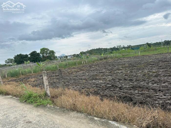 Hình ảnh Bán Đất Giá Ngộp 6x30(180m2) Full Thổ Cư Gần Biển Giá Chỉ 650 Triệu 1