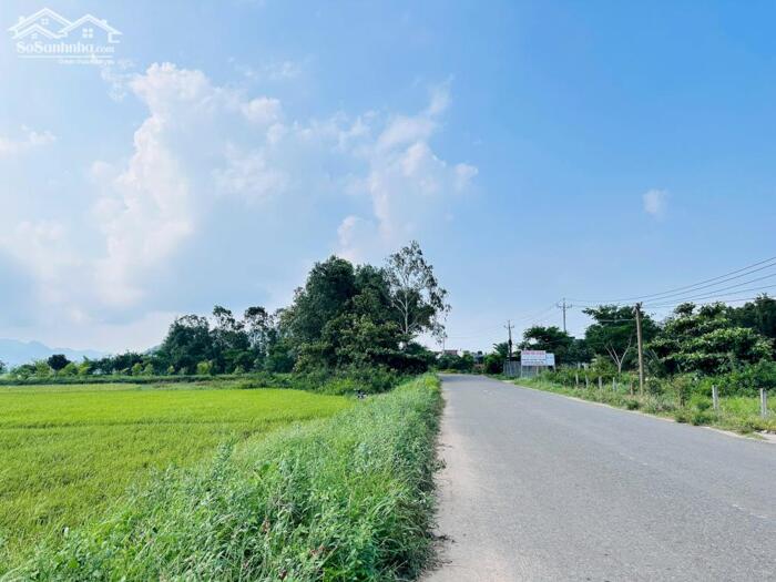 Hình ảnh Ngộp Bank 35x49(1580m2) Nguyễn Minh Châu Tân Tiến Gần Biển Giá Cực Rẻ 2