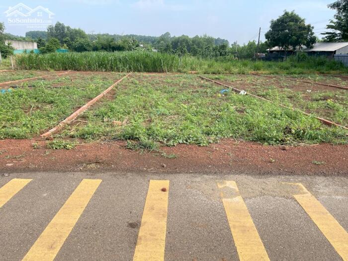 Hình ảnh Kẹt tiền Cần Bấn Ngang 6,30m Dài 25m SR,Thổ Cư Tại Hưng Thịnh Trảng Bom 0