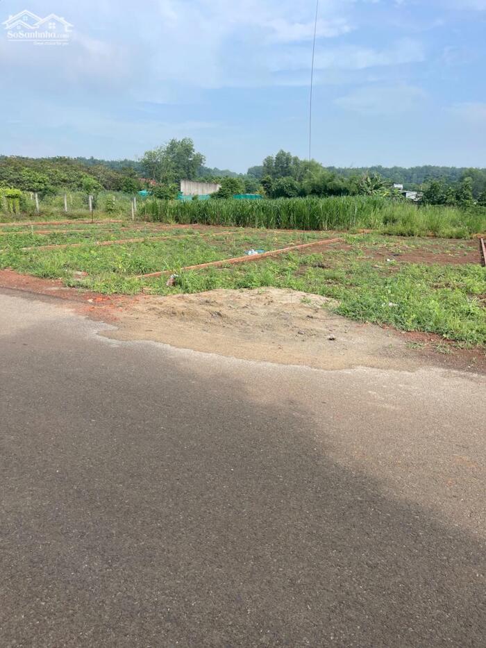 Hình ảnh Kẹt tiền Cần Bấn Ngang 6,30m Dài 25m SR,Thổ Cư Tại Hưng Thịnh Trảng Bom 1