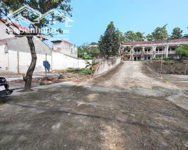 Hình ảnh Bán đất 3 mặt tiền thôn Trại gà, Hướng Đạo, Tam dương. 2