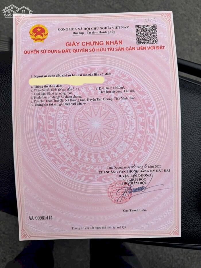 Hình ảnh Bán đất 3 mặt tiền thôn Trại gà, Hướng Đạo, Tam dương. 6