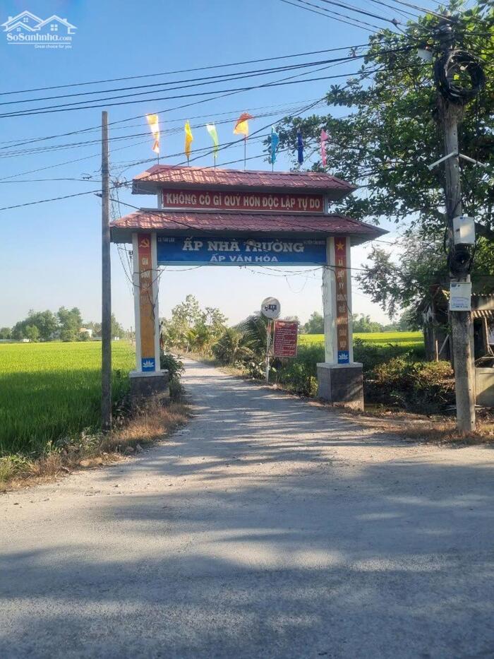 Hình ảnh Đất thổ 476m2 mt xe tải xã Tân Lân giá rẻ đầu tư 2 tỏi 3 0