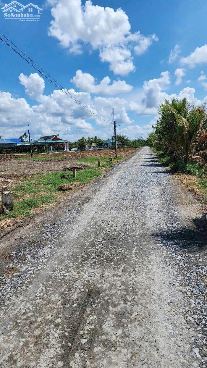 Hình ảnh Đất thổ 476m2 mt xe tải xã Tân Lân giá rẻ đầu tư 2 tỏi 3 2