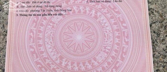 Hình ảnh ĐẤT NỀN KDC ĐƯỜNG NHỰA - VỈA HÈ HOÀN THIỆN Phường Tân Triều 0