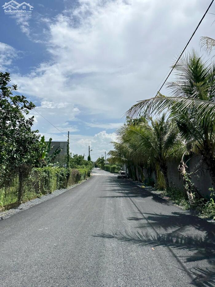 Hình ảnh ĐẤT NỀN KDC ĐƯỜNG NHỰA - VỈA HÈ HOÀN THIỆN Phường Tân Triều 6