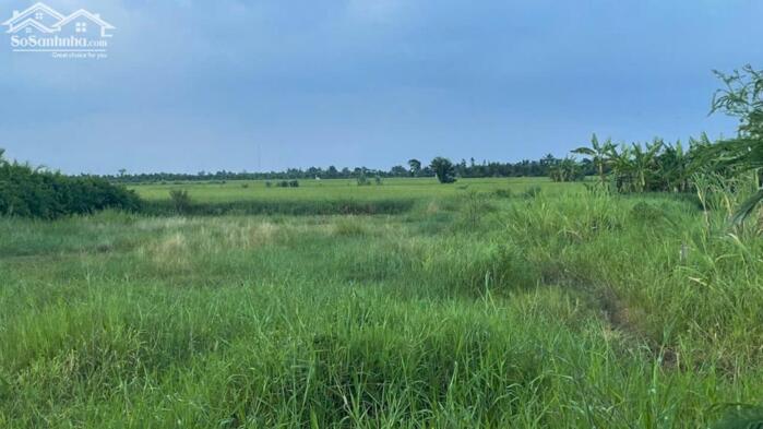 Hình ảnh 1,5 công đất thổ, ôtô gần biển Rạch Bùn, Gò Công Đông, TG nay là Đồng Tháp 2,2 tỷ 3