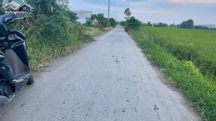 Hình ảnh 1,5 công đất thổ, ôtô gần biển Rạch Bùn, Gò Công Đông, TG nay là Đồng Tháp 2,2 tỷ 1