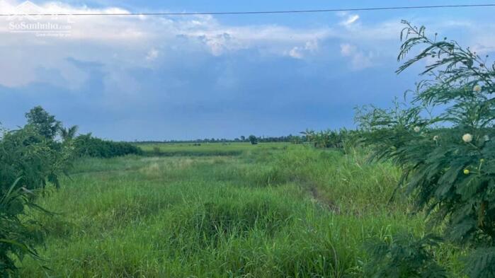 Hình ảnh 1,5 công đất thổ, ôtô gần biển Rạch Bùn - Tân Điền, Gò Công Đông, Tiền Giang nay là Đồng Tháp mới. 1