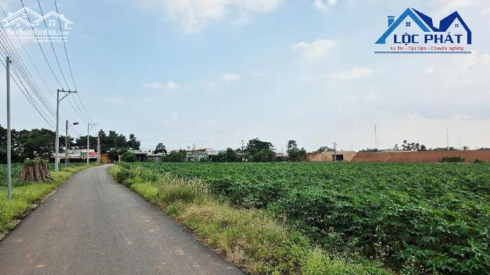 Hình ảnh BÁN ĐẤT SKC TIỀM NĂNG TẠI LONG AN – LONG THÀNH 2