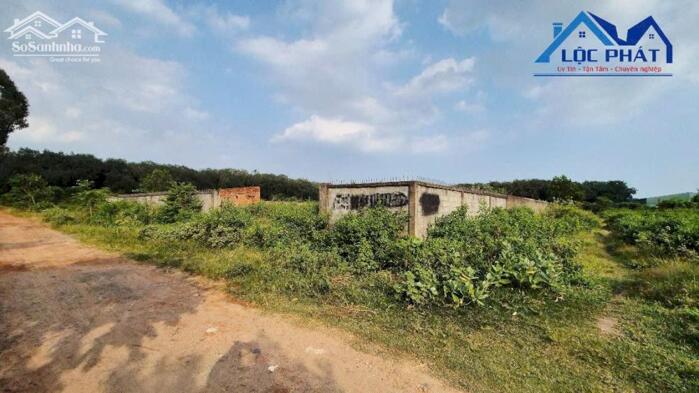 Hình ảnh BÁN ĐẤT SKC TIỀM NĂNG TẠI LONG AN – LONG THÀNH 3