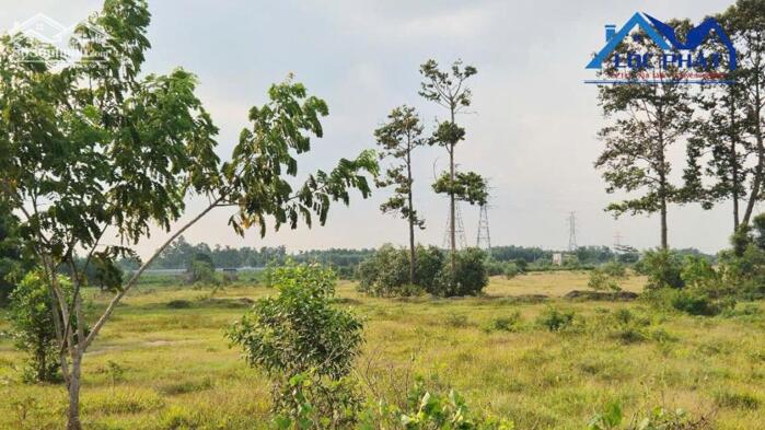 Hình ảnh BÁN ĐẤT SKC TIỀM NĂNG TẠI LONG AN – LONG THÀNH 0