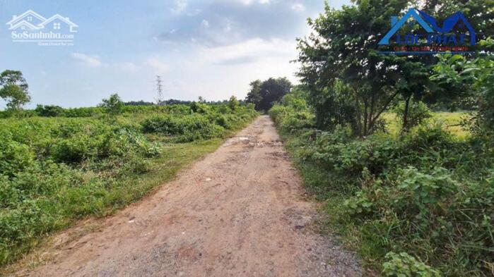 Hình ảnh BÁN ĐẤT SKC TIỀM NĂNG TẠI LONG AN – LONG THÀNH 4