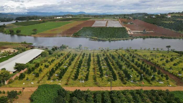 Hình ảnh BÁN SỈ LỐC 30 NỀN VIEW HỒ PHÚC THỌ SẴN SỔ SẴN THỔ CƯ 1