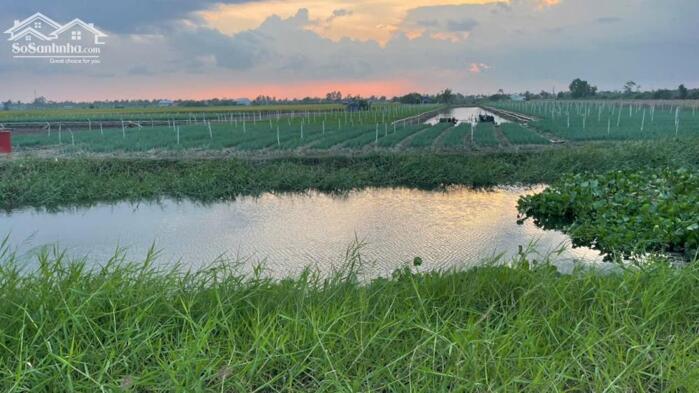 Hình ảnh B.á.n 5,8 công đất nền, mặt tiền kênh giá 330tr/1000m2 gần biển Rạch Bùn, Tân Điền, tỉnh Đồng Tháp mới. 3