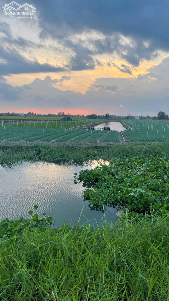 Hình ảnh B.á.n 5,8 công đất nền, mặt tiền kênh giá 330tr/1000m2 gần biển Rạch Bùn, Tân Điền, tỉnh Đồng Tháp mới. 0