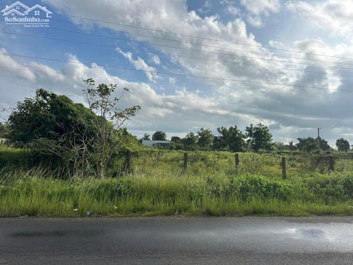 Hình ảnh Bán Đất 20x53(951m2) Sẵn 200m2 Thổ Cư Hùng Vương Tân Tiến LaGi Giá Rẻ 1