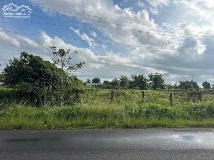 Hình ảnh Bán Đất 20x53(951m2) Sẵn 200m2 Thổ Cư Hùng Vương Tân Tiến LaGi Giá Rẻ 3