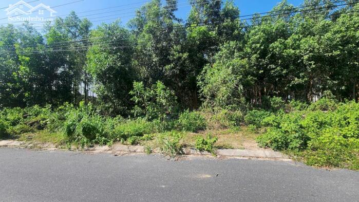 Hình ảnh Lô Đất 15x60( 897m2) 175m2 Thổ Cư Trưng Nhị Tân An Giá Cực Ngộp 4